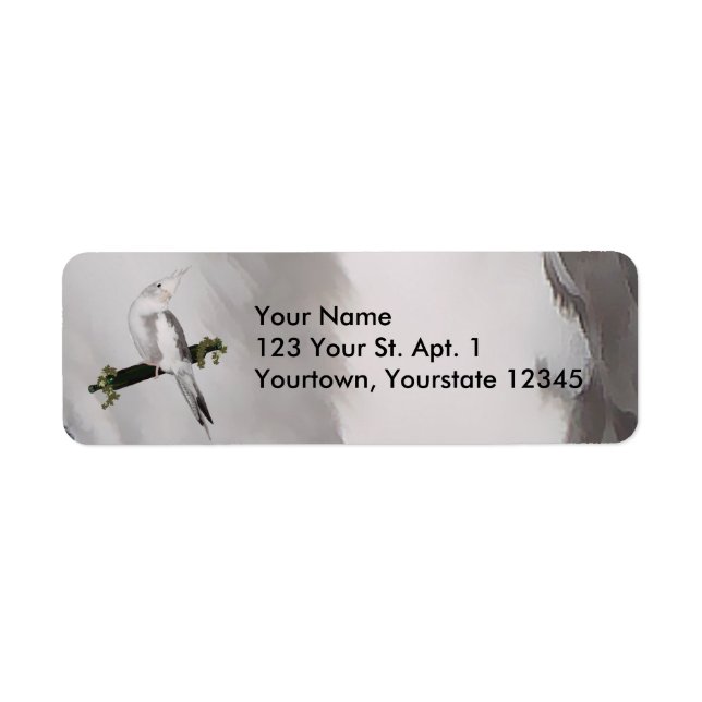 Cute Lutino Cockatiel Bird Ivy Perch Animal (Devant)