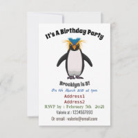 Cute macaroni penguin cartoon illustration