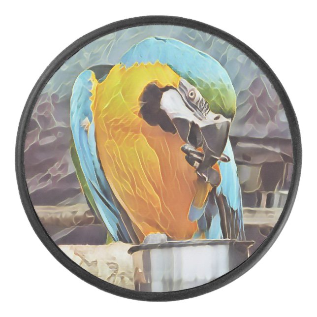CUTE MACAW (Devant)