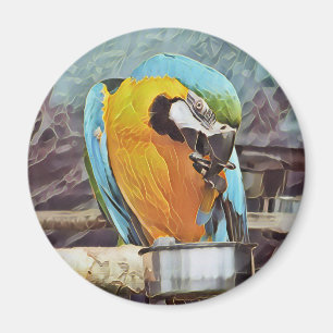CUTE MACAW MAGNET