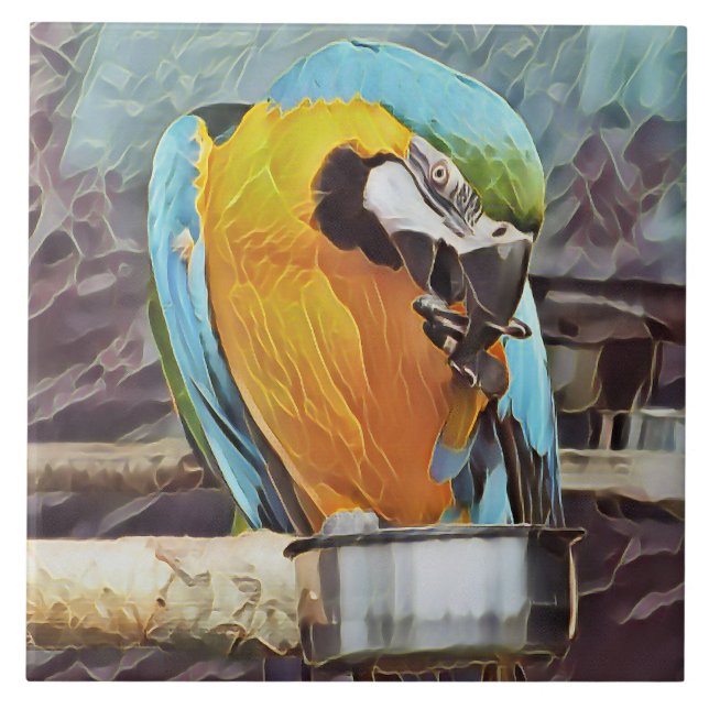 CUTE MACAW TILE (Front)