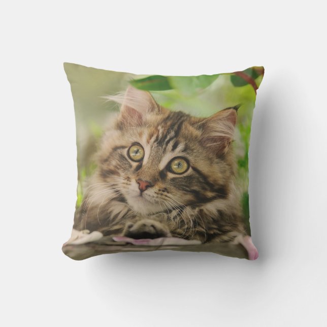 Cute Maine Coon Cat Kitten Portrait - for Outside Outdoor Pillow (Front)
