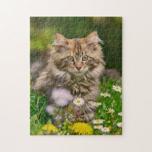 Cute Maine Coon Kitten Cat Flowers - Game Jigsaw Jigsaw Puzzle