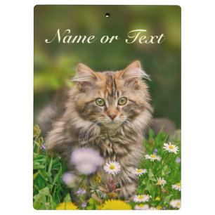 Cute Maine Coon Kitten Cat in Meadow  Personalized Clipboard