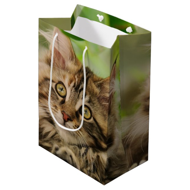 Cute Maine Coon kitten Medium Gift Bag (Front Angled)