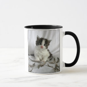 Cute Maine Coon kitten with feathers mug