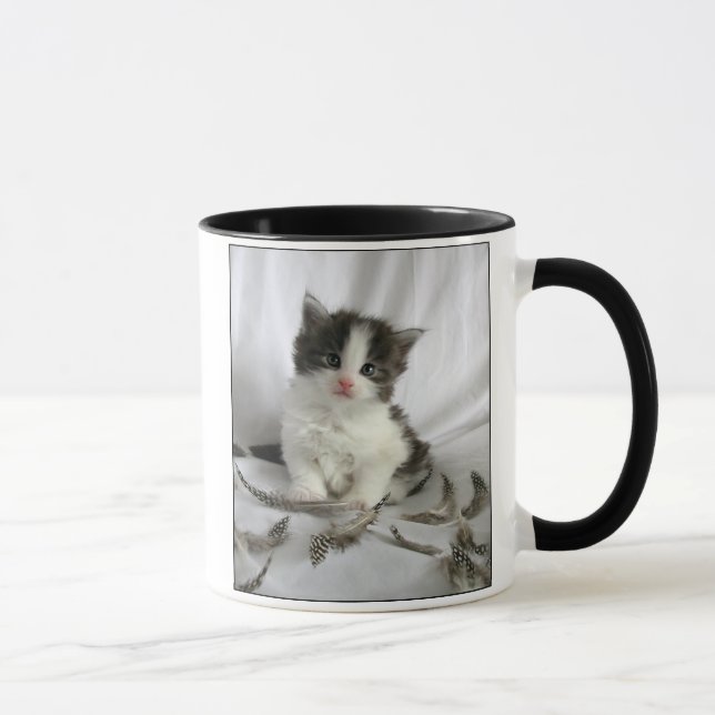 Cute Maine Coon kitten with feathers mug (Right)