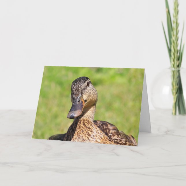 Cute Mallard Get Well Card (Front)
