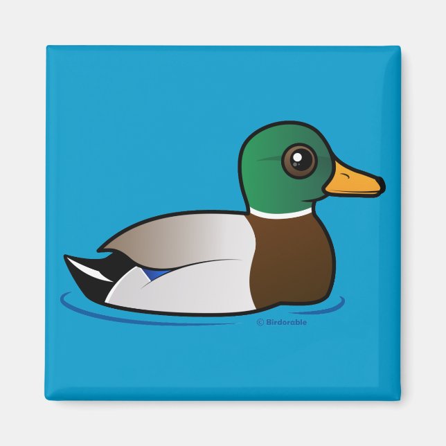 Cute Mallard Male Magnet (Front)