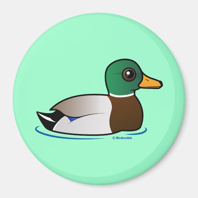 Cute Mallard Male Magnet (Front)