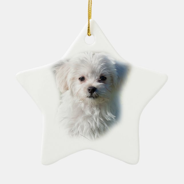 Cute Maltese Dog Ceramic Ornament (Front)
