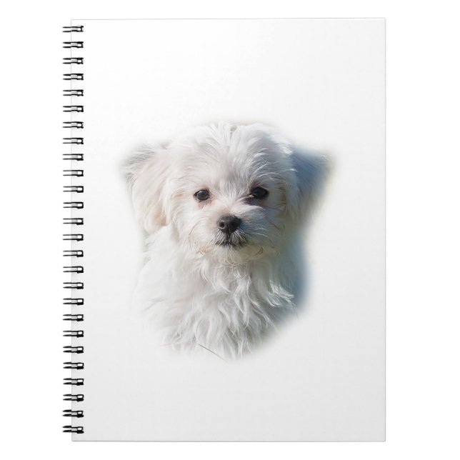 Cute Maltese Dog Notebook (Front)