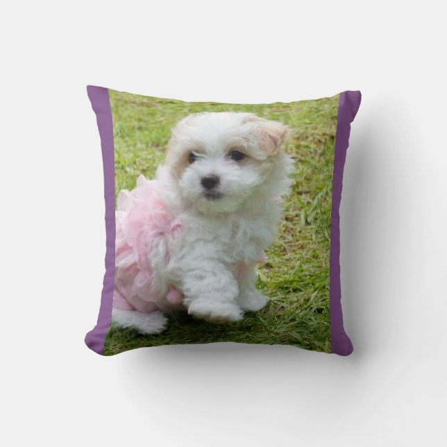 Cute Maltese Poodl Throw Cushion (Front)