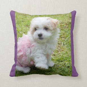Cute Maltese Poodl Throw Cushion