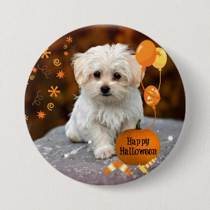 Cute Maltese Puppy Celebrates Halloween  3 Inch Round Button