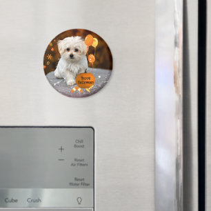 Cute Maltese Puppy Celebrates Halloween Magnet