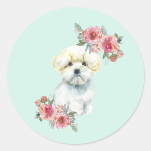 Cute Maltese Puppy Dog Watercolor  Classic Round Sticker