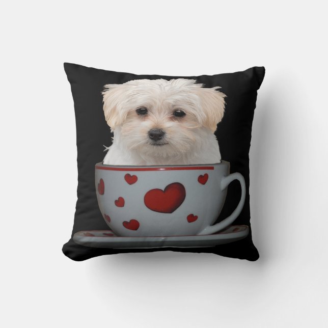 Cute Maltese Puppy Sitting in a Cup and Saucer Throw Pillow (Front)