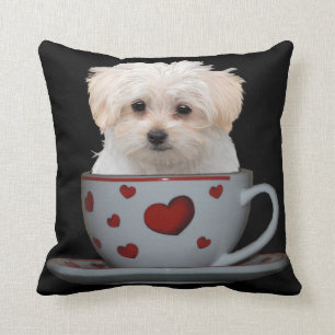 Cute Maltese Puppy Sitting in a Cup and Saucer Throw Pillow