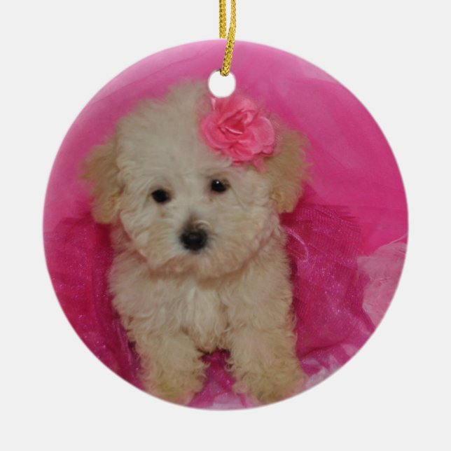 Cute Maltipoo Puppy Ceramic Ornament (Front)