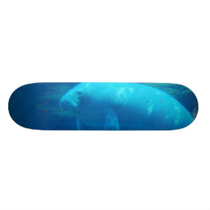 Cute Manatee Skateboard