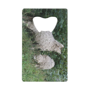Cute Mange Manger Feuille Bottle Opener