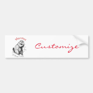 Cute Marmot Animal Thunder_Cove Bumper Sticker