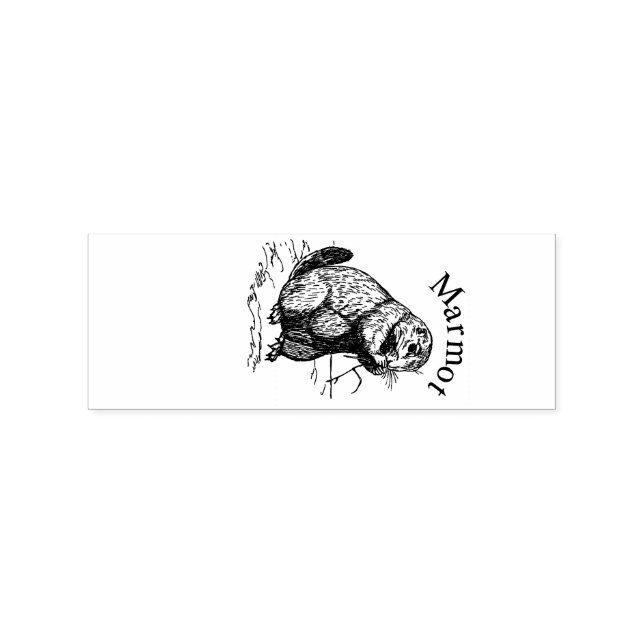 Cute Marmot Animal Thunder_Cove Rubber Stamp (Imprint)