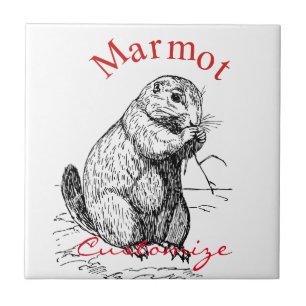 Cute Marmot Animal Thunder_Cove Tile