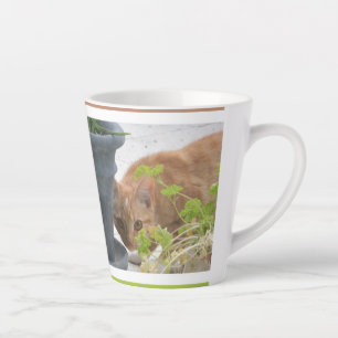 Cute Masquer Rouge Chat Latte Mug