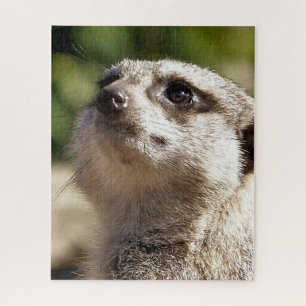 CUTE MEERKAT JIGSAW PUZZLE