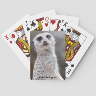 Cute Meerkat Looking at You Personalized Playing Cards