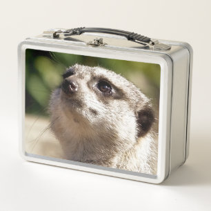 CUTE MEERKAT METAL LUNCH BOX
