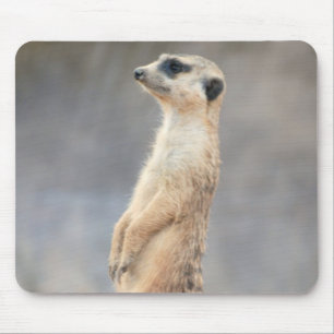 Cute Meerkat Mouse Pad