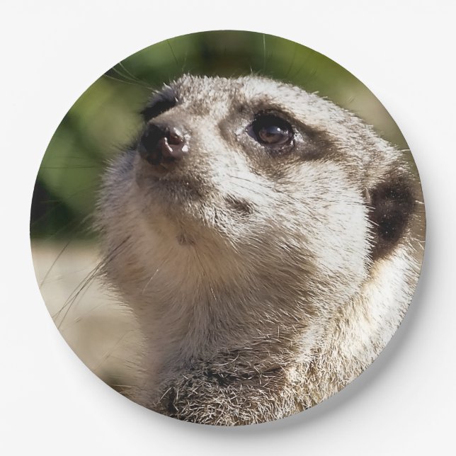 CUTE MEERKAT PAPER PLATE (Front)