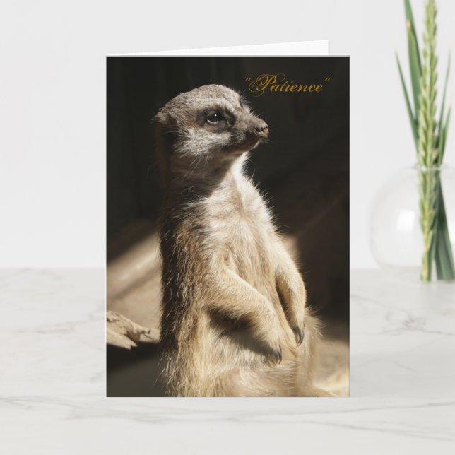 Cute Meerkat "Patience" Any Occasion Greeting Card (Front)