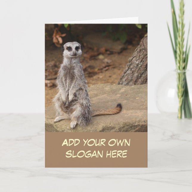 Cute Meerkat Photo to Customize Yourself Card (Front)