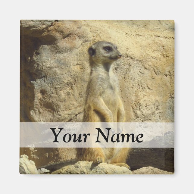 Cute meerkat photograph magnet (Front)