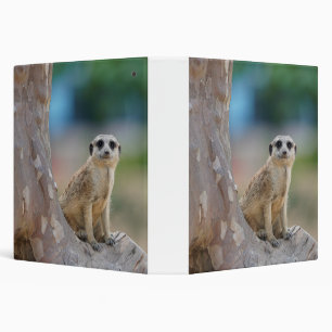 Cute Meerkat Sat on Tree Binder