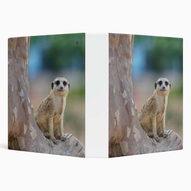 Cute Meerkat Sat on Tree Binder (Background)