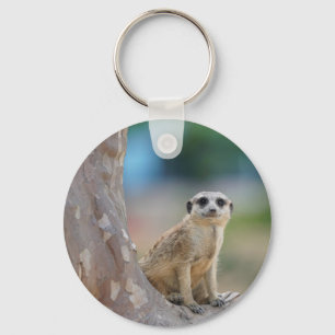 Cute Meerkat Sat on Tree Keychain