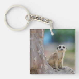 Cute Meerkat Sat on Tree Keychain