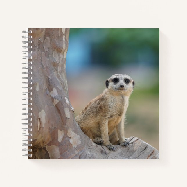 Cute Meerkat Sat on Tree Notebook (Front)
