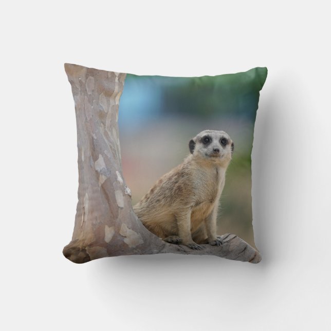 Cute Meerkat Sat on Tree Throw Pillow (Front)