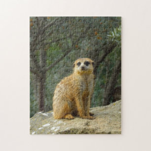 Cute Meerkat Sitting Photograph Jigsaw Puzzle