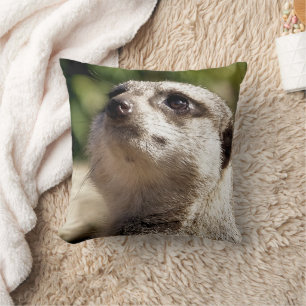CUTE MEERKAT THROW PILLOW