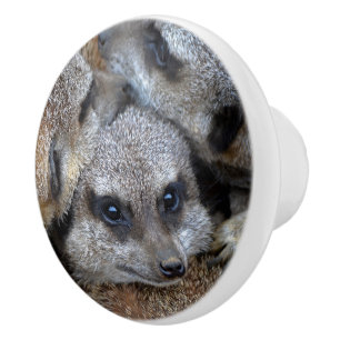 Cute Meerkats Ceramic Knob