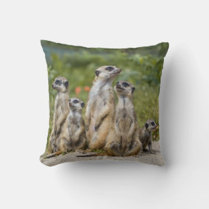 Cute Meerkats Throw Pillow