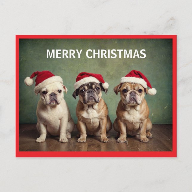 Cute Merry Christmas dogs Holiday Postcard (Front)