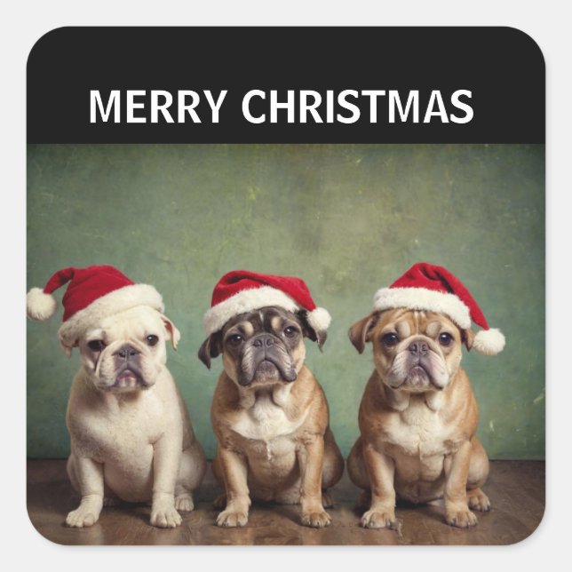Cute Merry Christmas dogs Square Sticker (Front)
